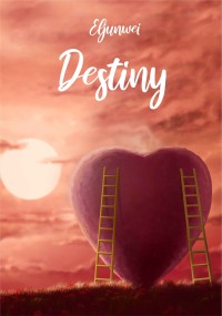Image of Destiny